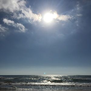 Meet your Posher, Adonis